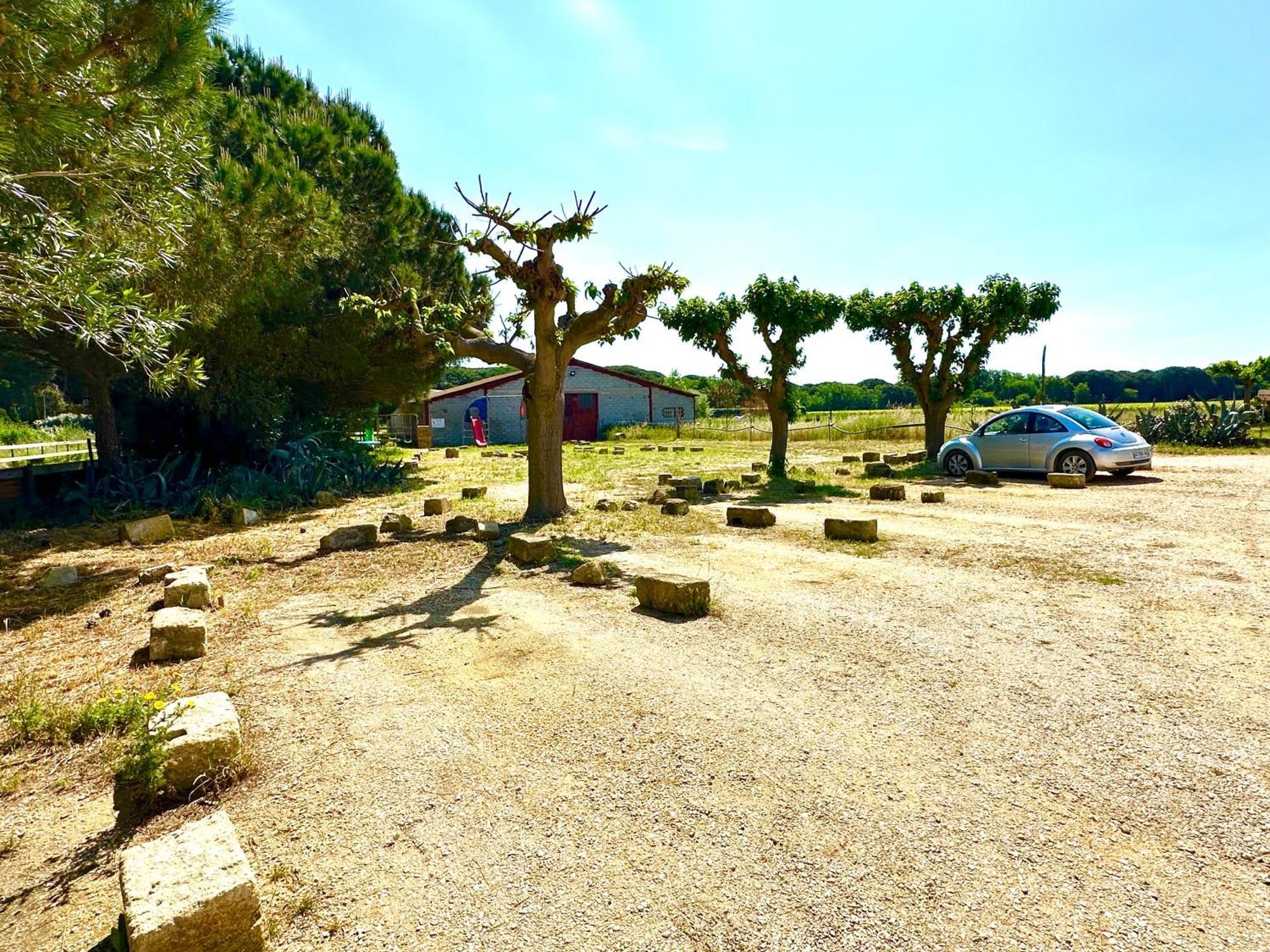 Les Appartements Du Mas - Rose Marie Aigues-Mortes Bagian luar foto